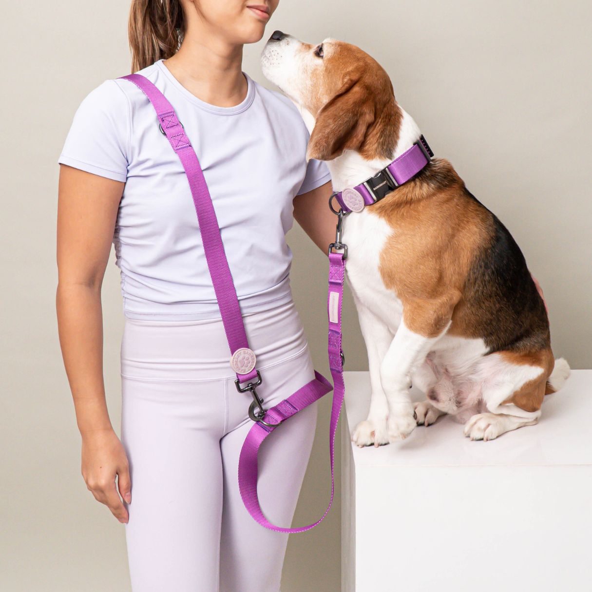 Collar harness and outlet leash set