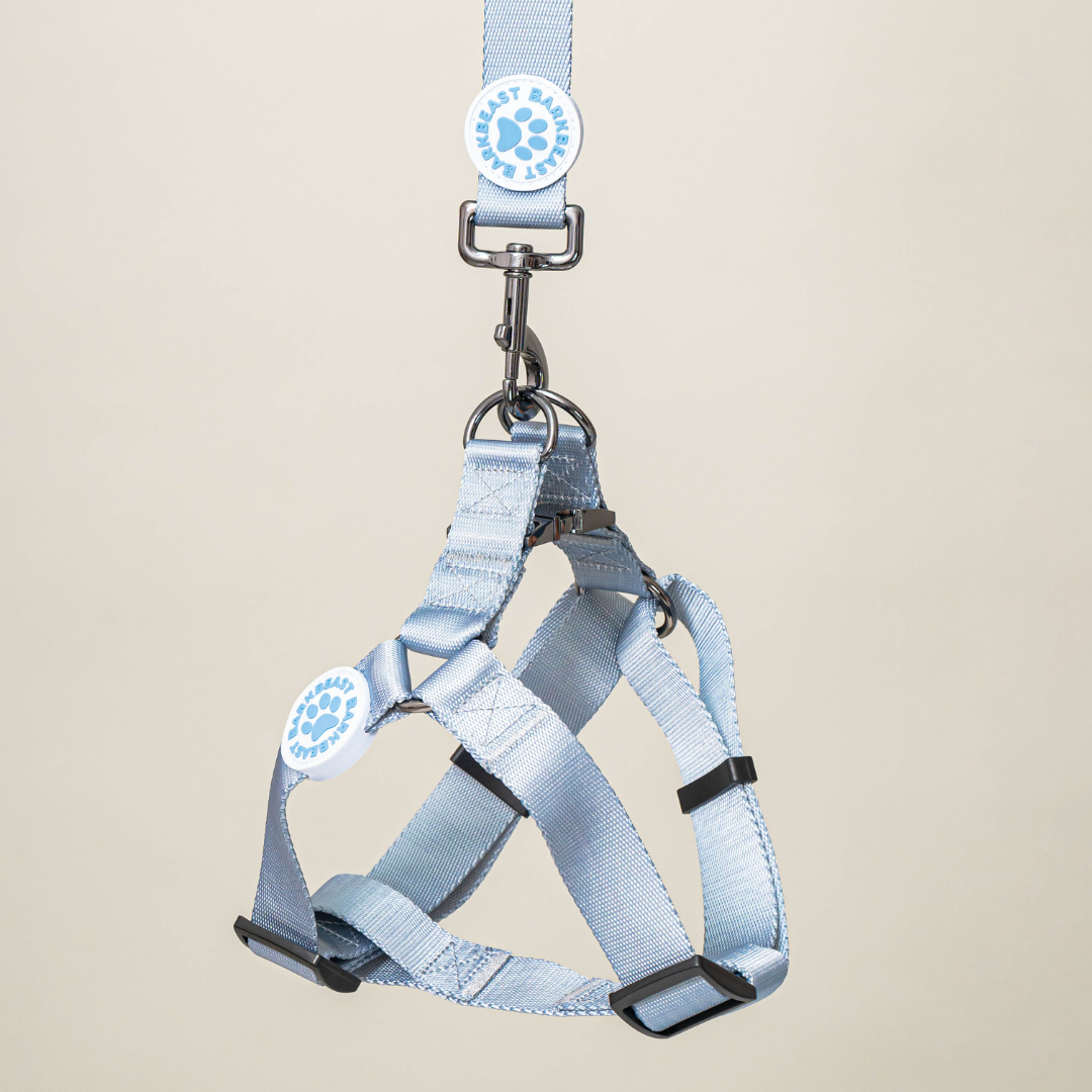 Harness & B-Leash in Frost