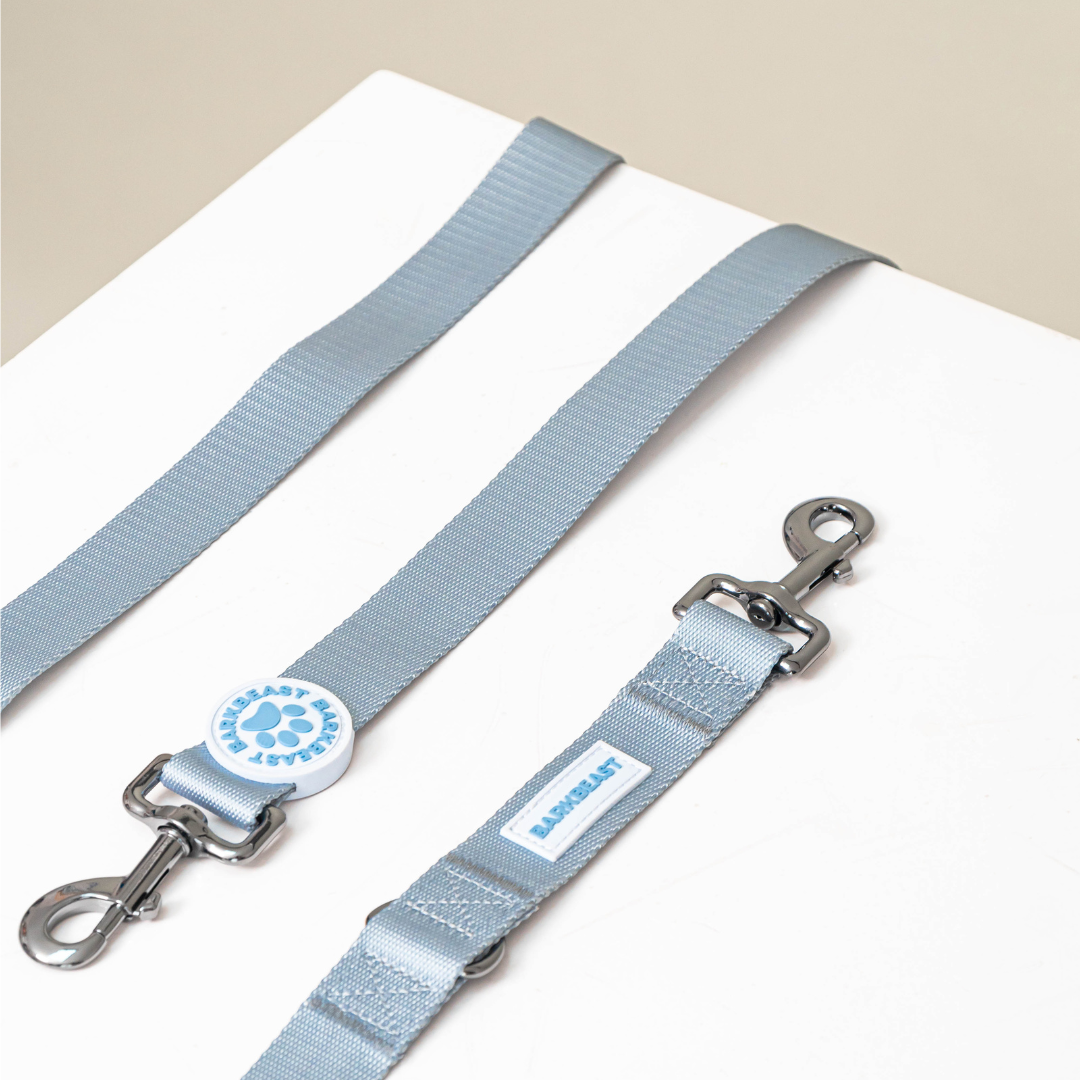 Harness & B-Leash in Frost