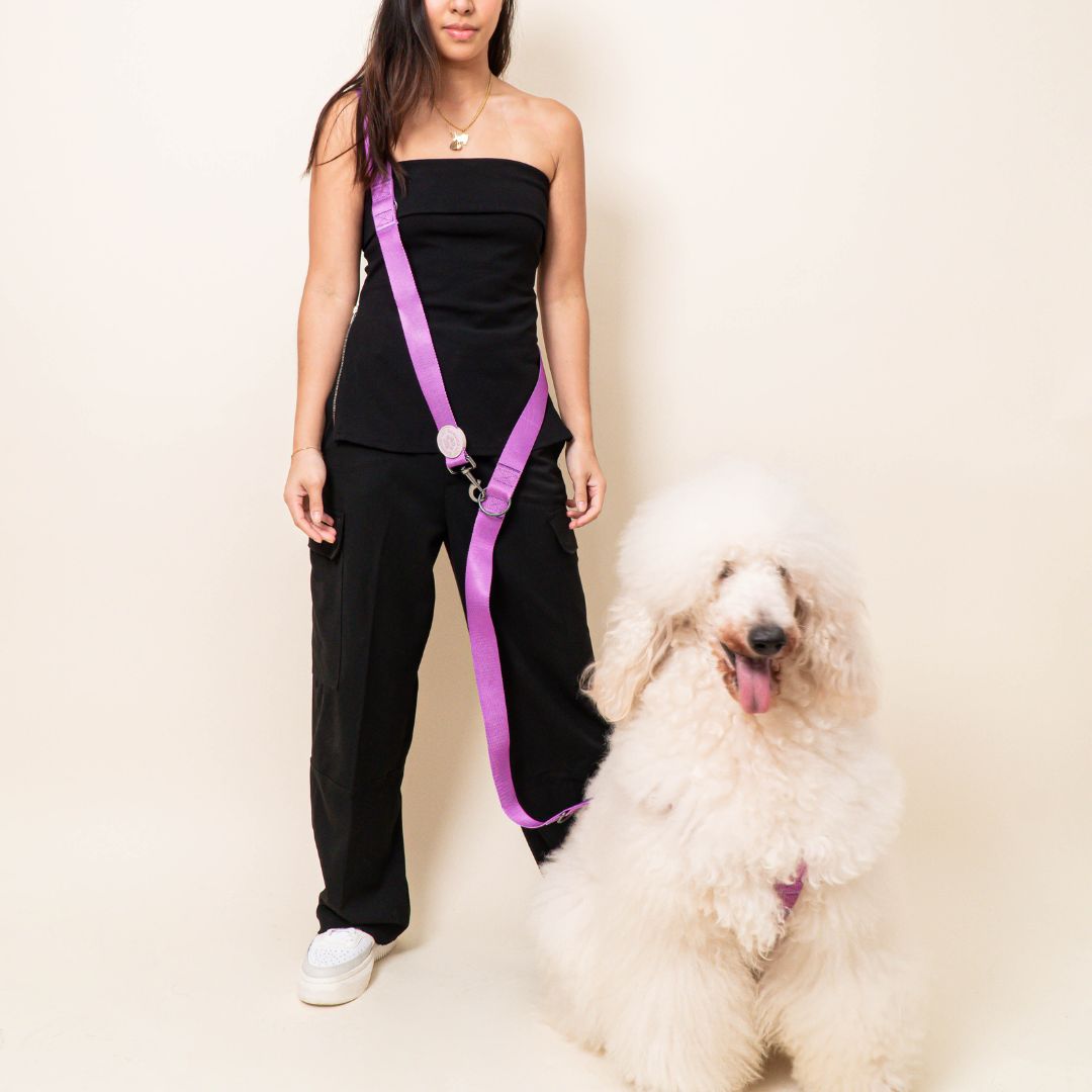 Harness & B-Leash in Violet