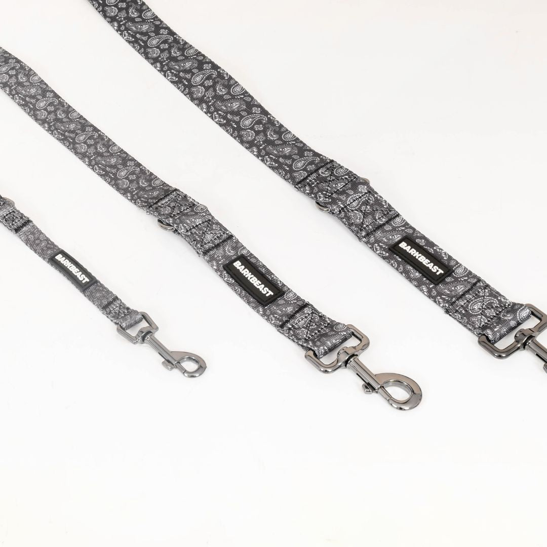 Harness & B-Leash in Paisley