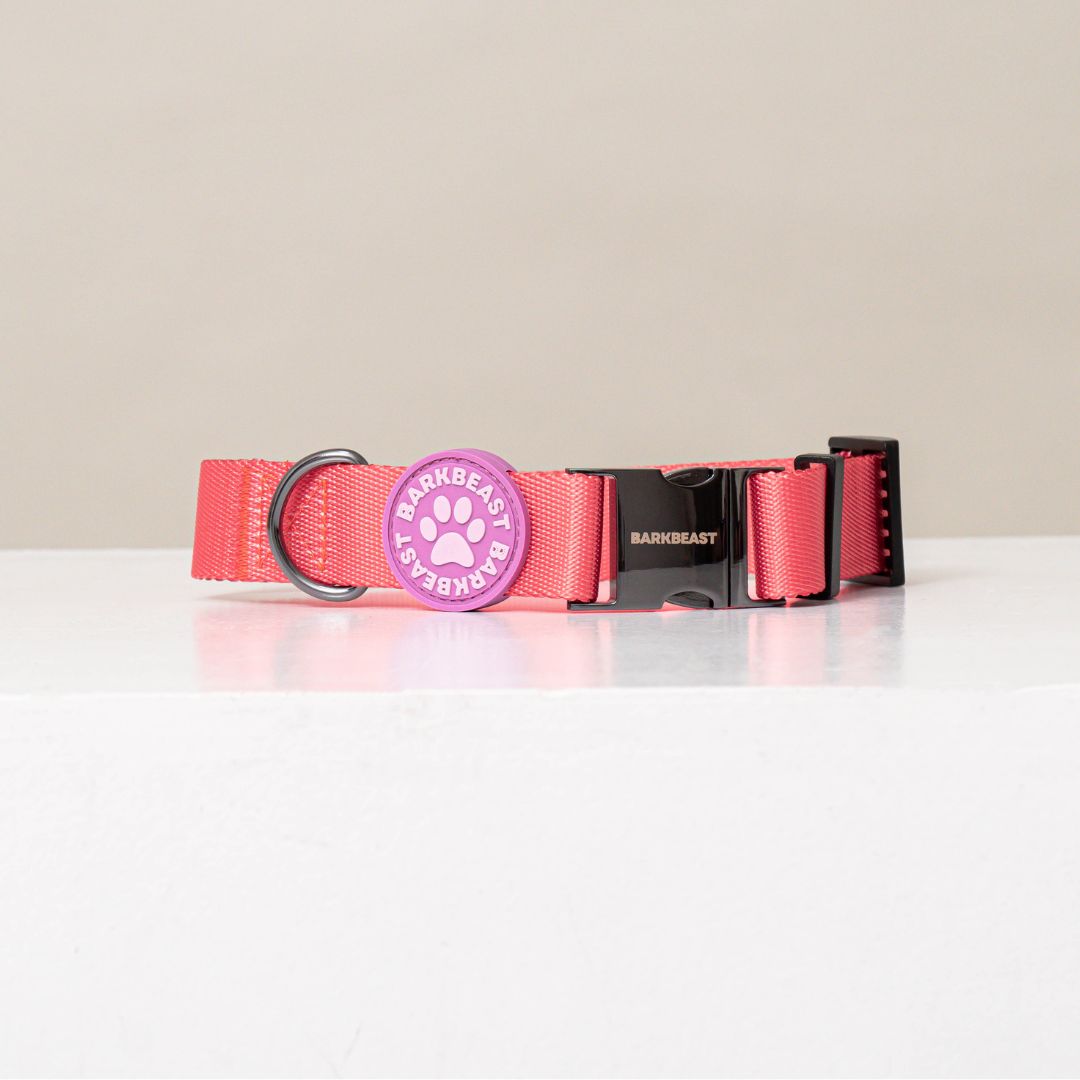 W-Collar & B-Leash in Coral