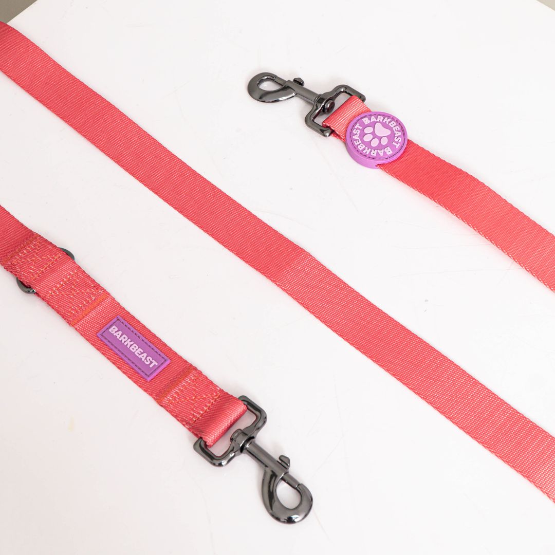 W-Collar & B-Leash in Coral