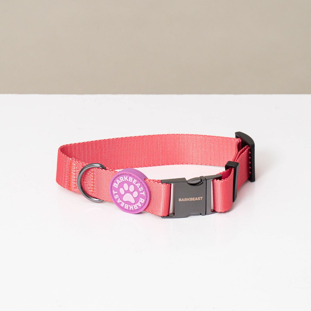 W-Collar & B-Leash in Coral