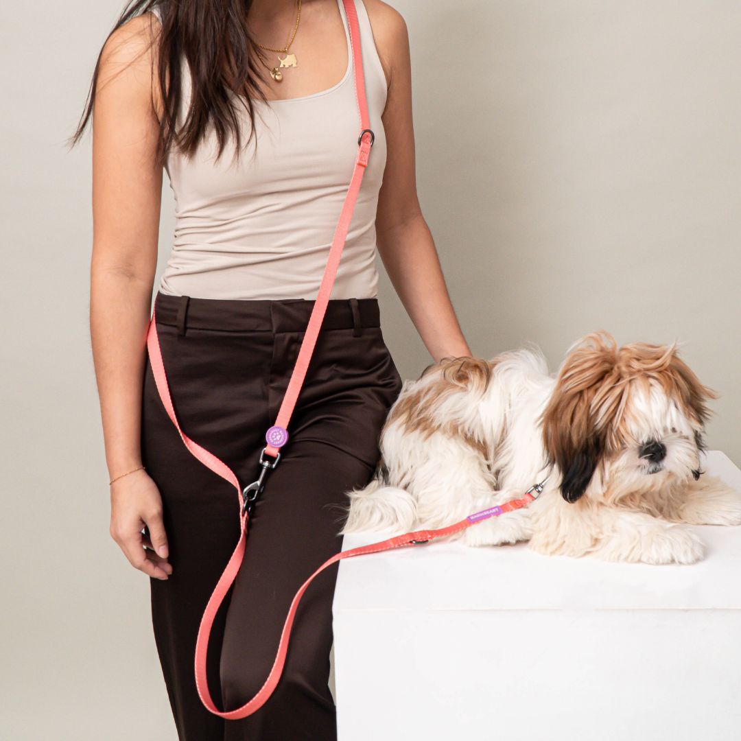 W-Collar & B-Leash in Coral