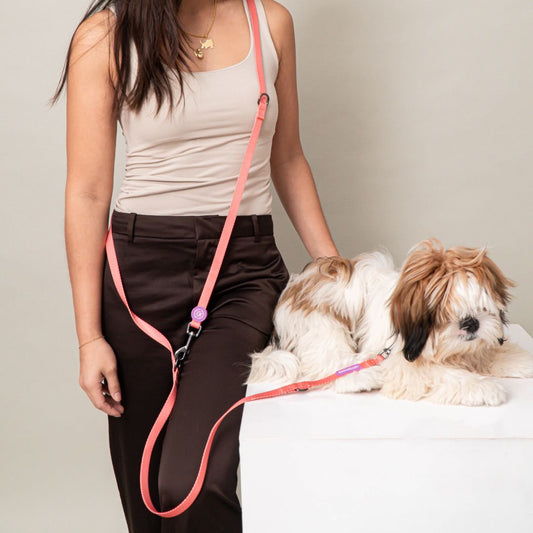 W-Collar & B-Leash in Coral