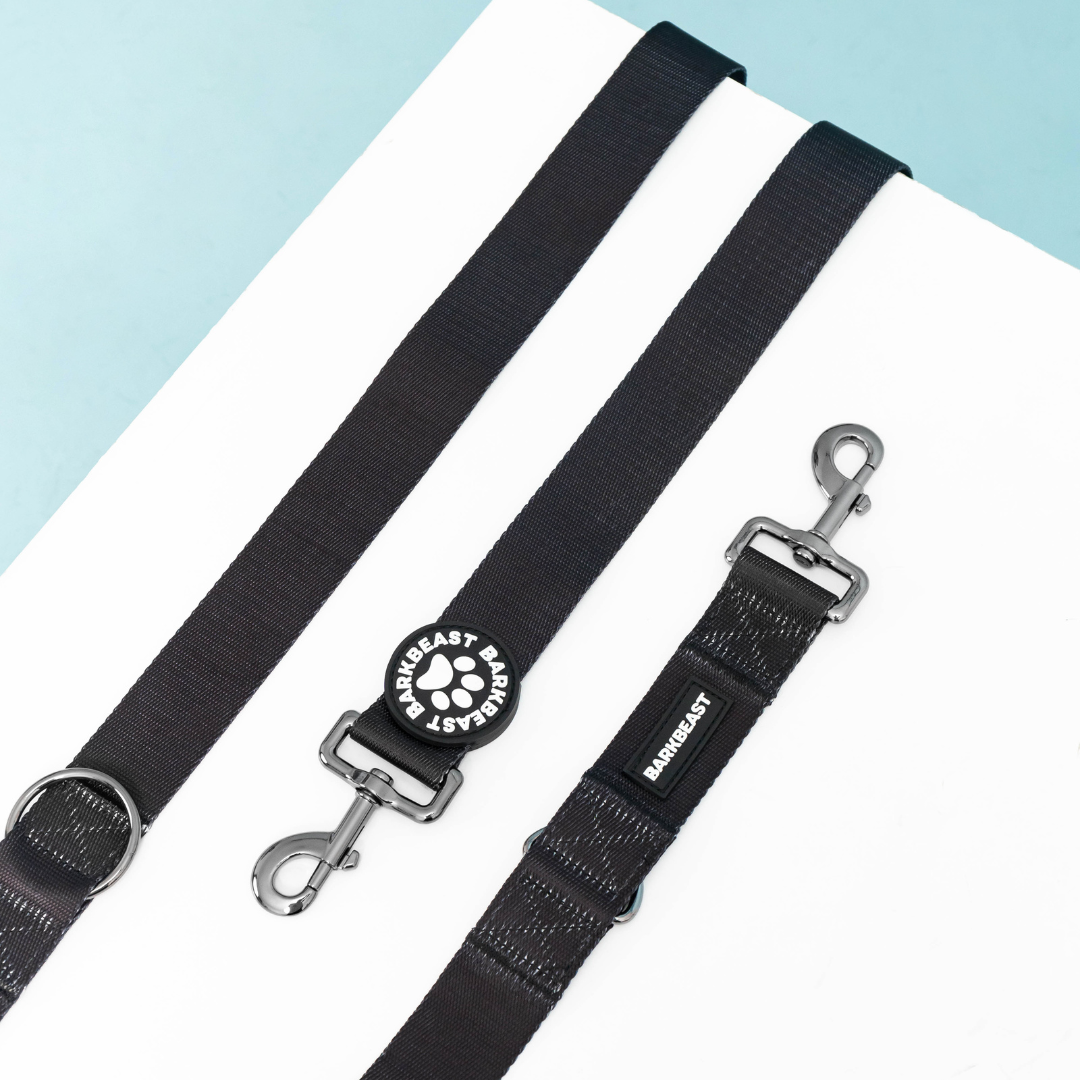 Harness & B-Leash in Caviar