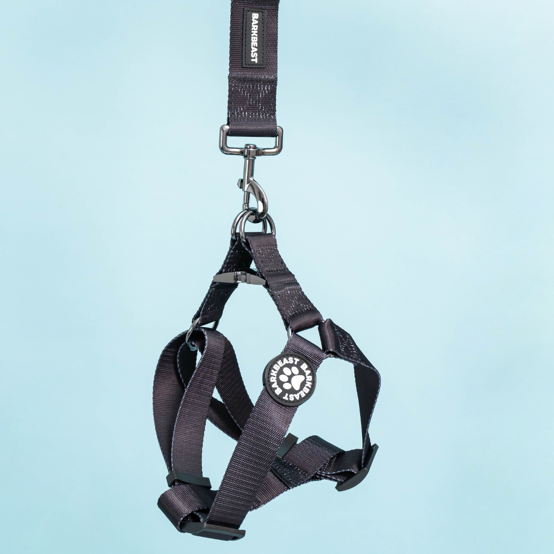 Harness & B-Leash in Caviar