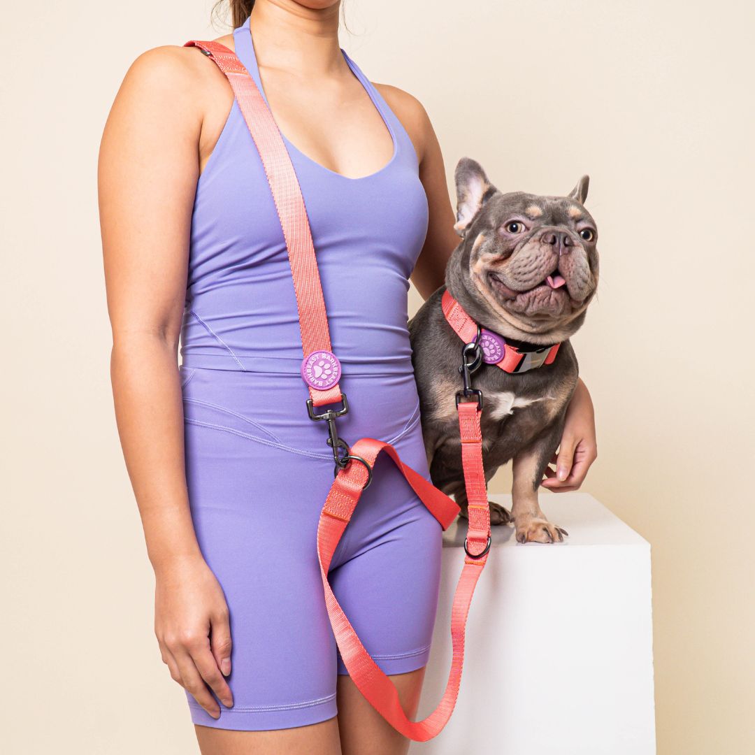 W-Collar & B-Leash in Coral