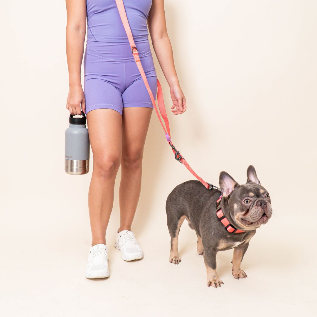 W-Collar & B-Leash in Coral