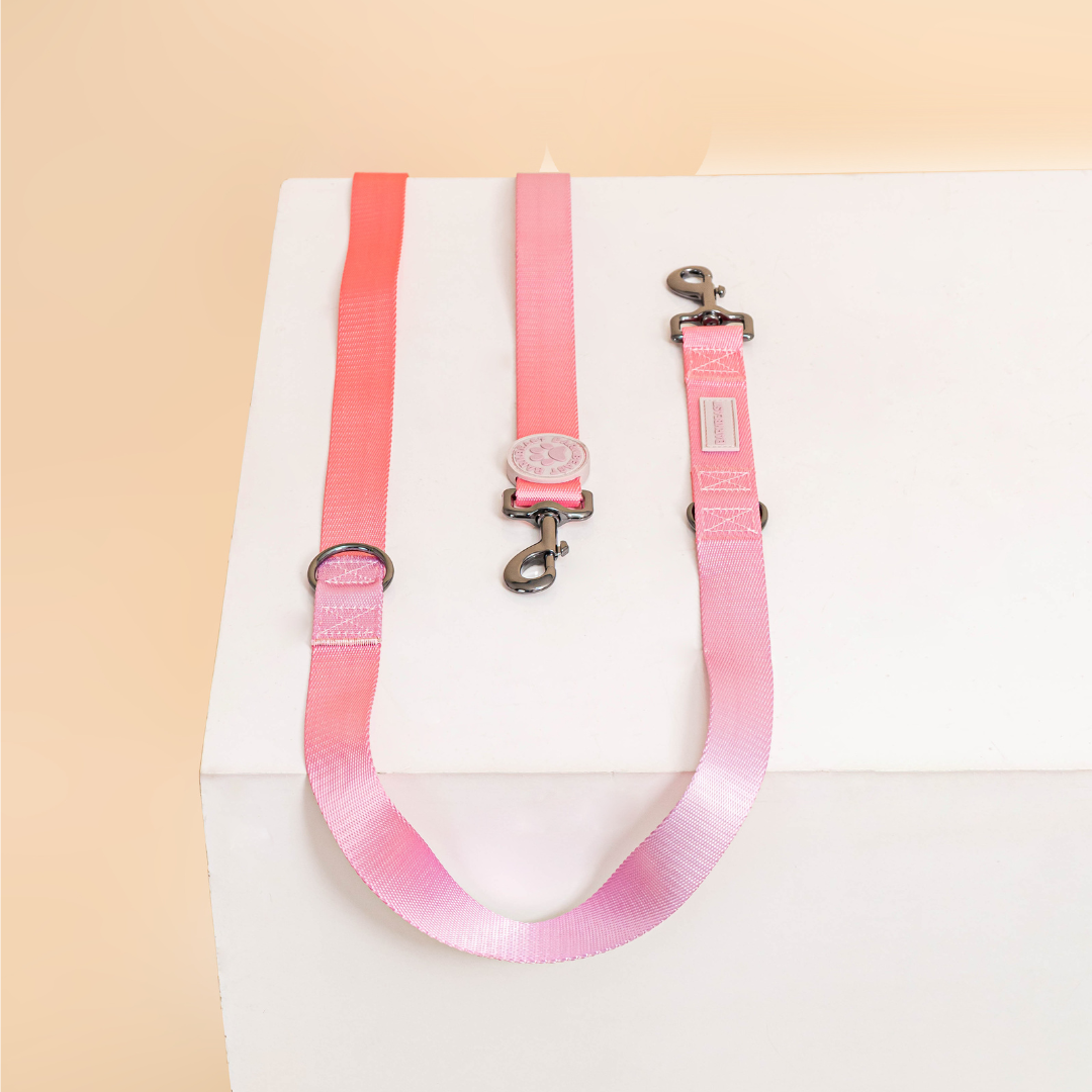 Harness & B-Leash in Cotton Candy