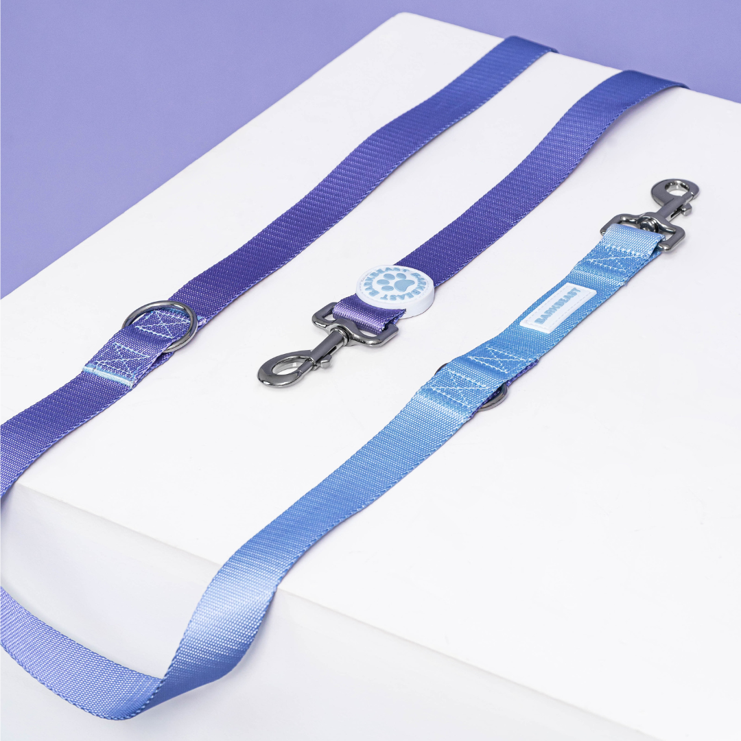 Harness & B-Leash in Purple Haze