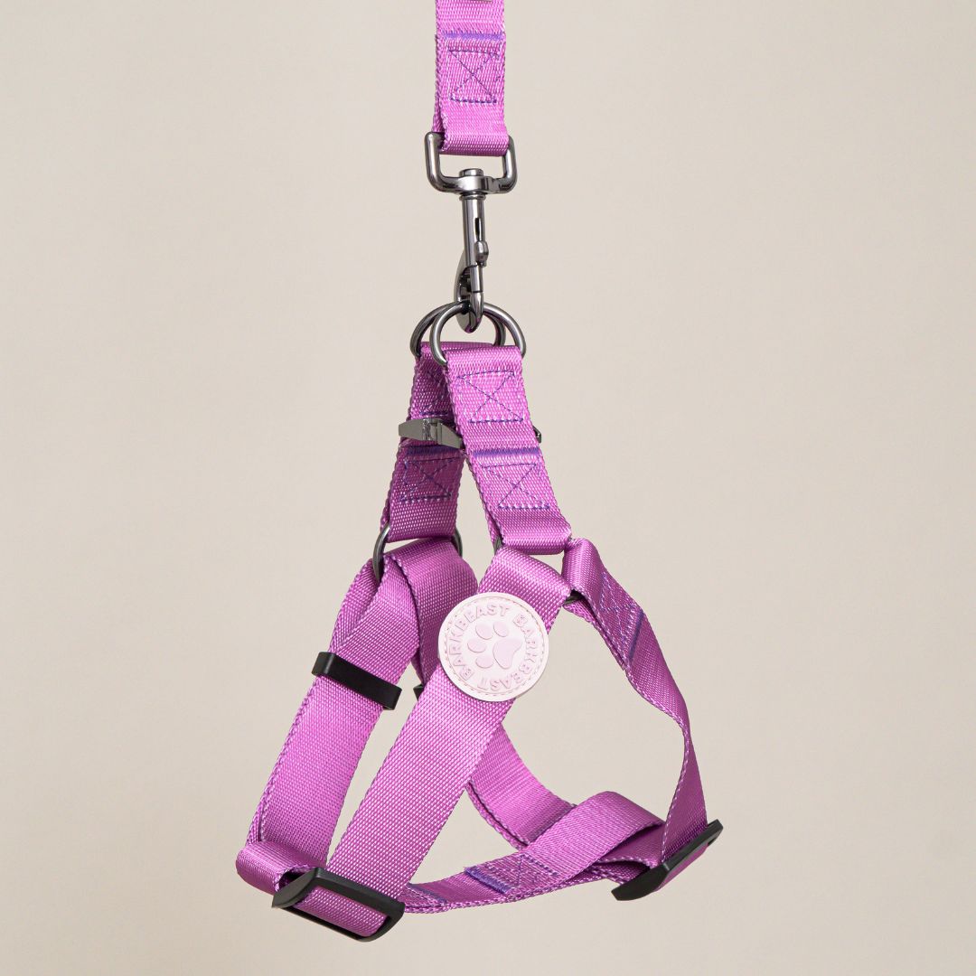 Harness & B-Leash in Violet