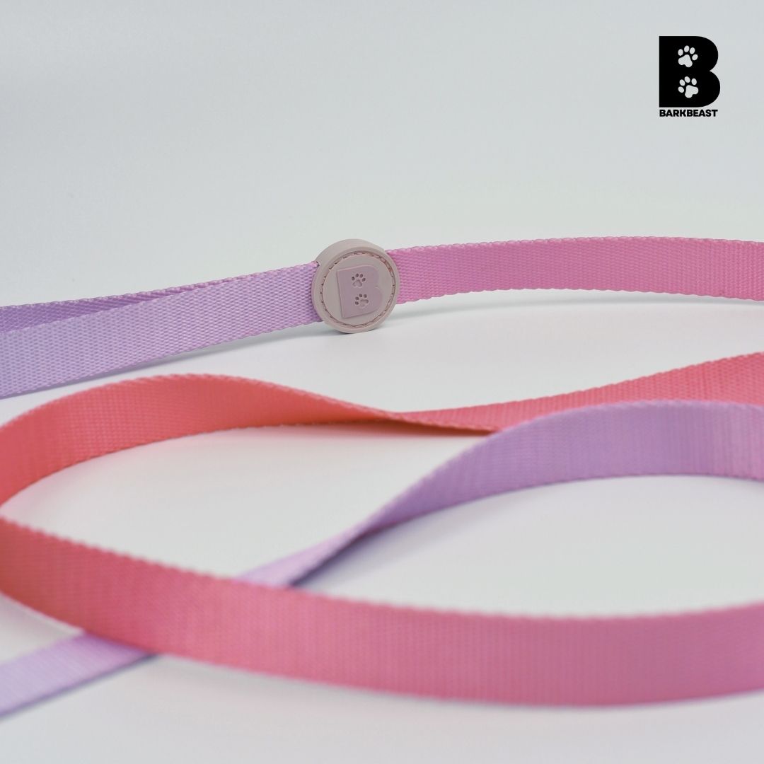 Collar & Leash Set in Cotton Candy