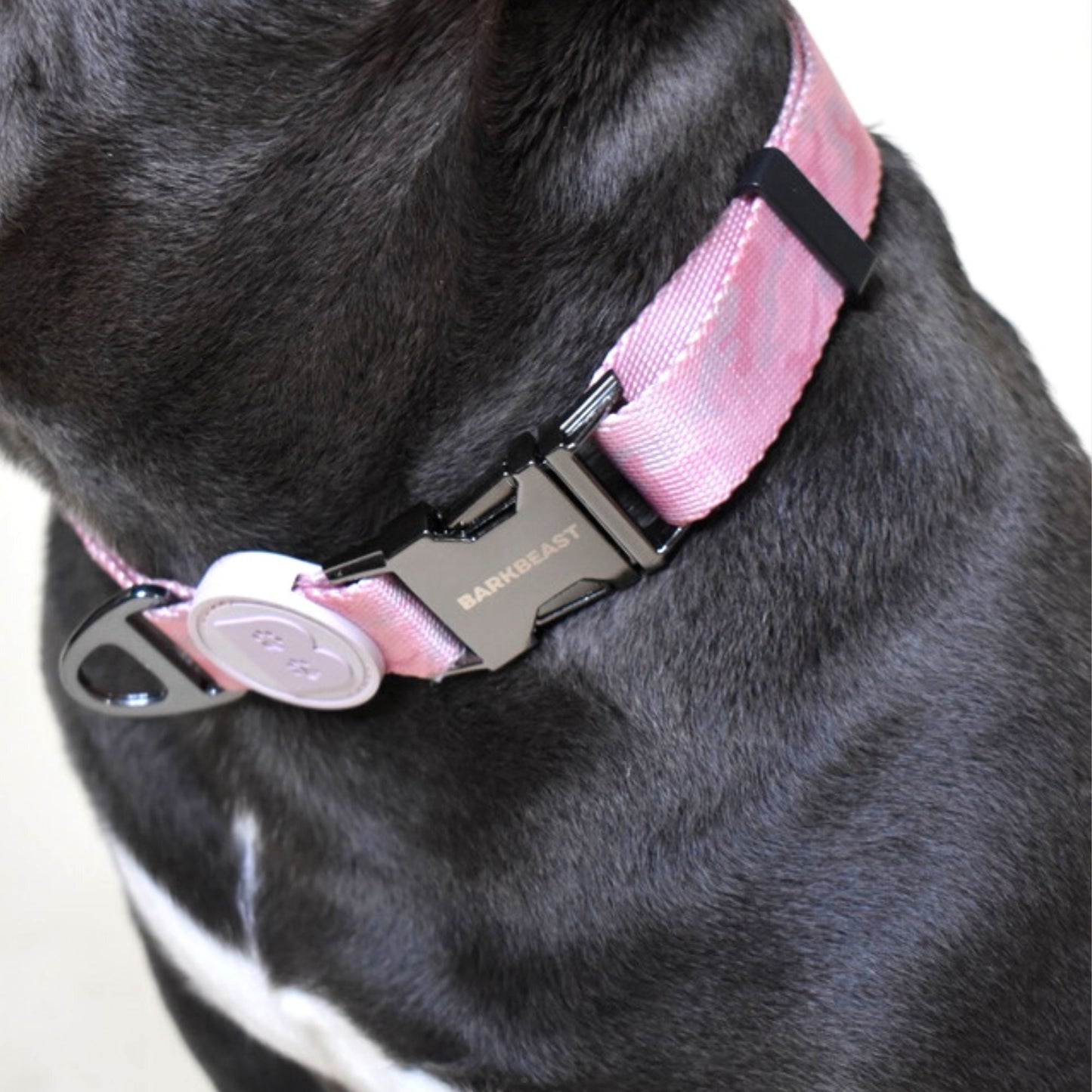 Collar & Leash Set in Blush Camo