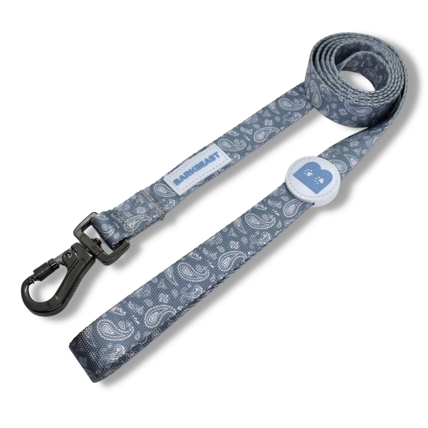 Collar & Leash Set in Blue Paisley