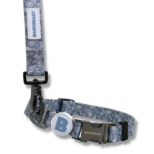 Collar & Leash Set in Blue Paisley